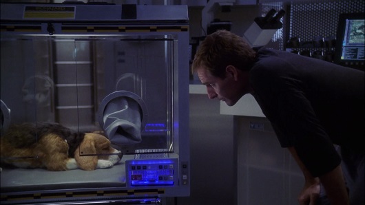 Star Trek Enterprise 2×05 – A Night in Sickbay